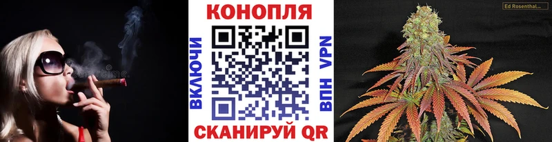 Конопля AK-47  купить наркотики сайты  Малоархангельск 